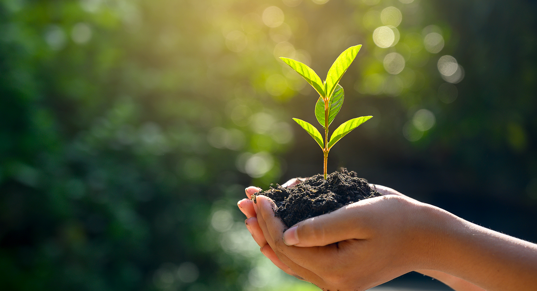 Promovendo­ a­ Preservação­ Ambiental­ com­ Implementos­ Automotivos